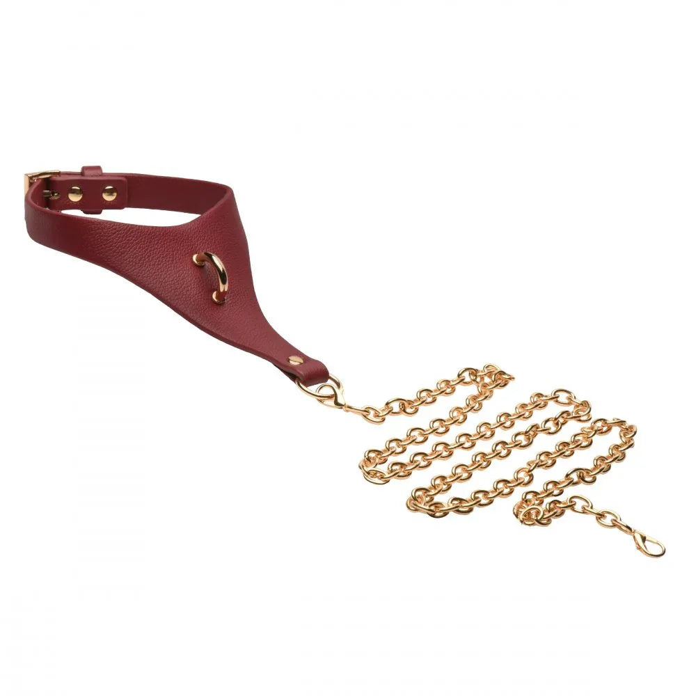 Captivate Collar with Body Chain - Puppy's Aesthetics