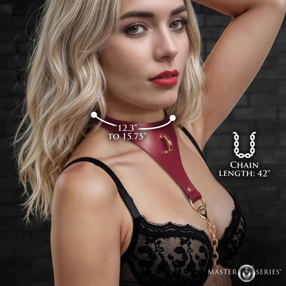Captivate Collar with Body Chain - Puppy's Aesthetics