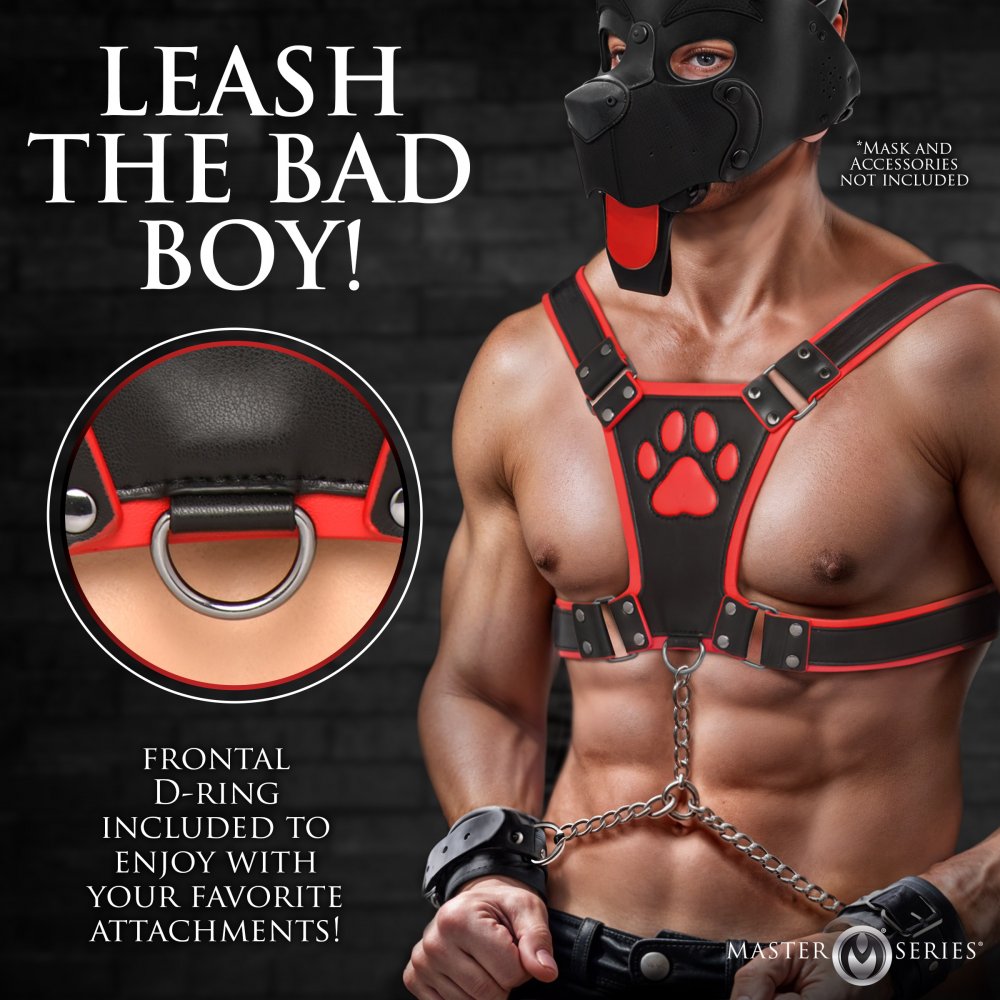 Alpha Pup Harness (Colors)