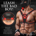 Alpha Pup Harness (Colors)