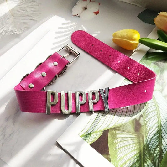 Adorable Puppy Collar (Colors) Puppy's Aesthetics