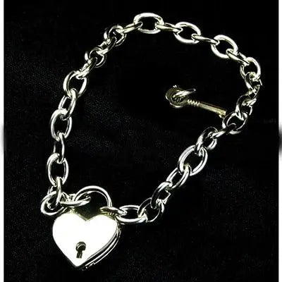 Beautiful Lock+Key Chain Collar Puppy's Aesthetics