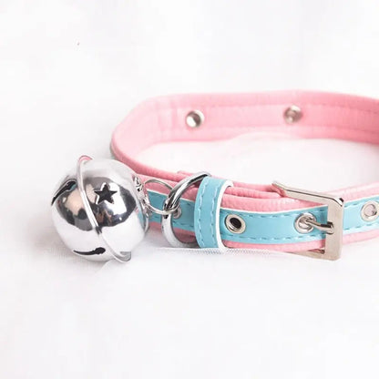 Cute Pink & Blue Bell Collar Puppy's Aesthetics