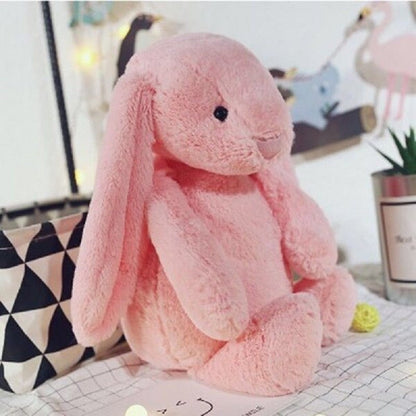 Cute Plush Rabbit Puppy's Aesthetics