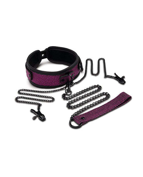 Collar, Leash & Nipple Clips Set