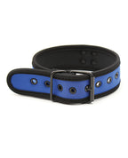 Blue Neoprene Puppy Collar - Puppy's Aesthetics