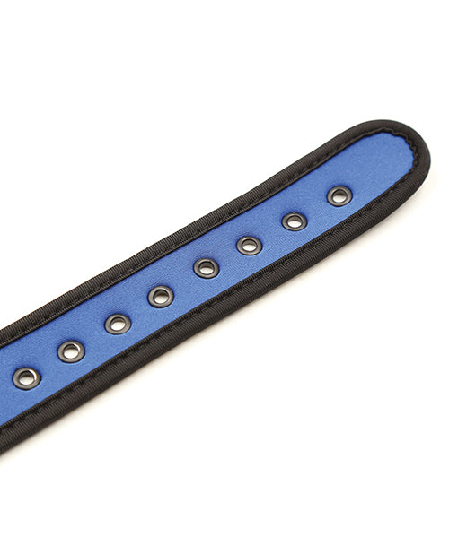 Blue Neoprene Puppy Collar - Puppy's Aesthetics