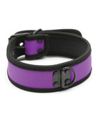 Purple Neoprene Puppy Collar