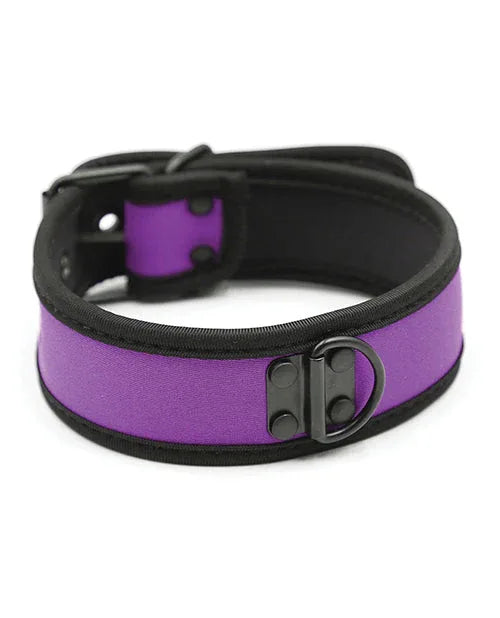 Purple Neoprene Puppy Collar - Puppy's Aesthetics