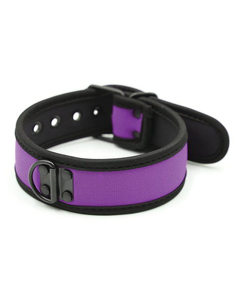 Purple Neoprene Puppy Collar
