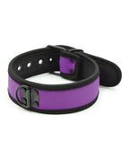 Purple Neoprene Puppy Collar