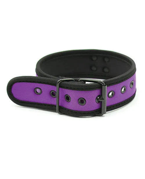 Purple Neoprene Puppy Collar - Puppy's Aesthetics