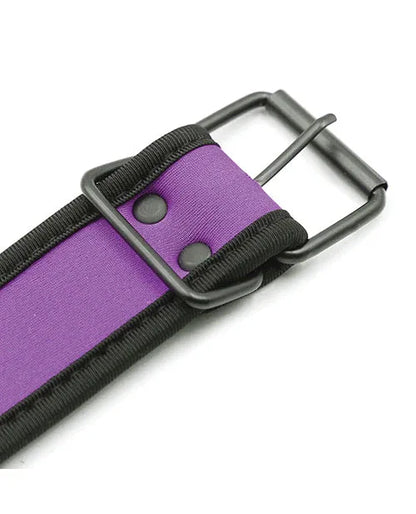 Purple Neoprene Puppy Collar - Puppy's Aesthetics