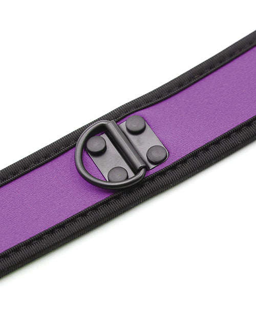 Purple Neoprene Puppy Collar