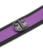 Purple Neoprene Puppy Collar