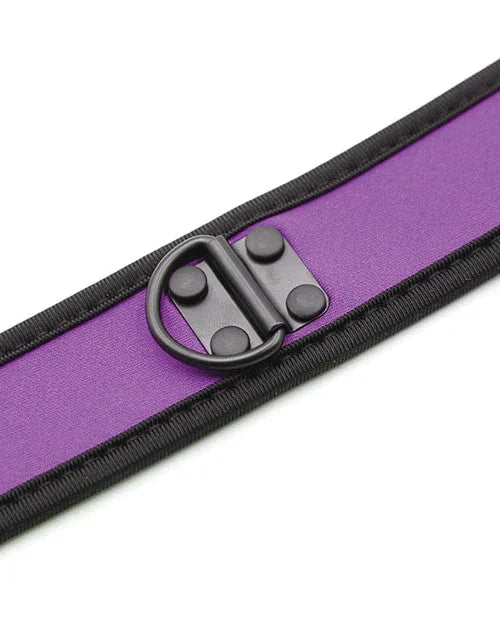 Purple Neoprene Puppy Collar - Puppy's Aesthetics