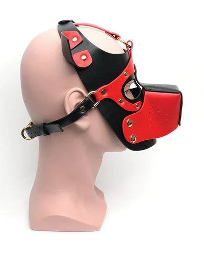 Black/Red Bondage Pup Hood - Puppy's Aesthetics