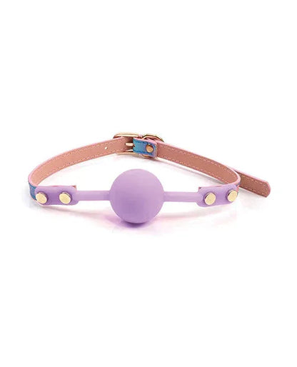 Hello Sexy! Iridescent Rainbow Gag - Puppy's Aesthetics