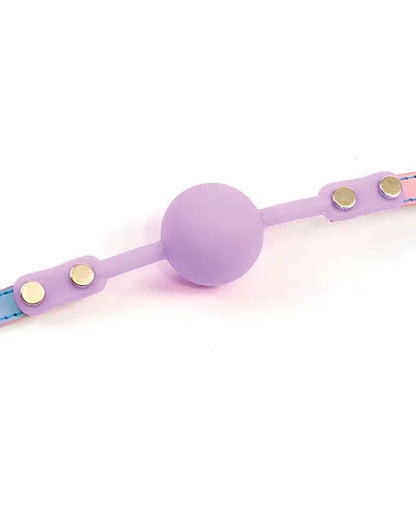 Hello Sexy! Iridescent Rainbow Gag - Puppy's Aesthetics