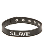 XPlay Talk Dirty Slave Collar - Puppy's Aesthetics