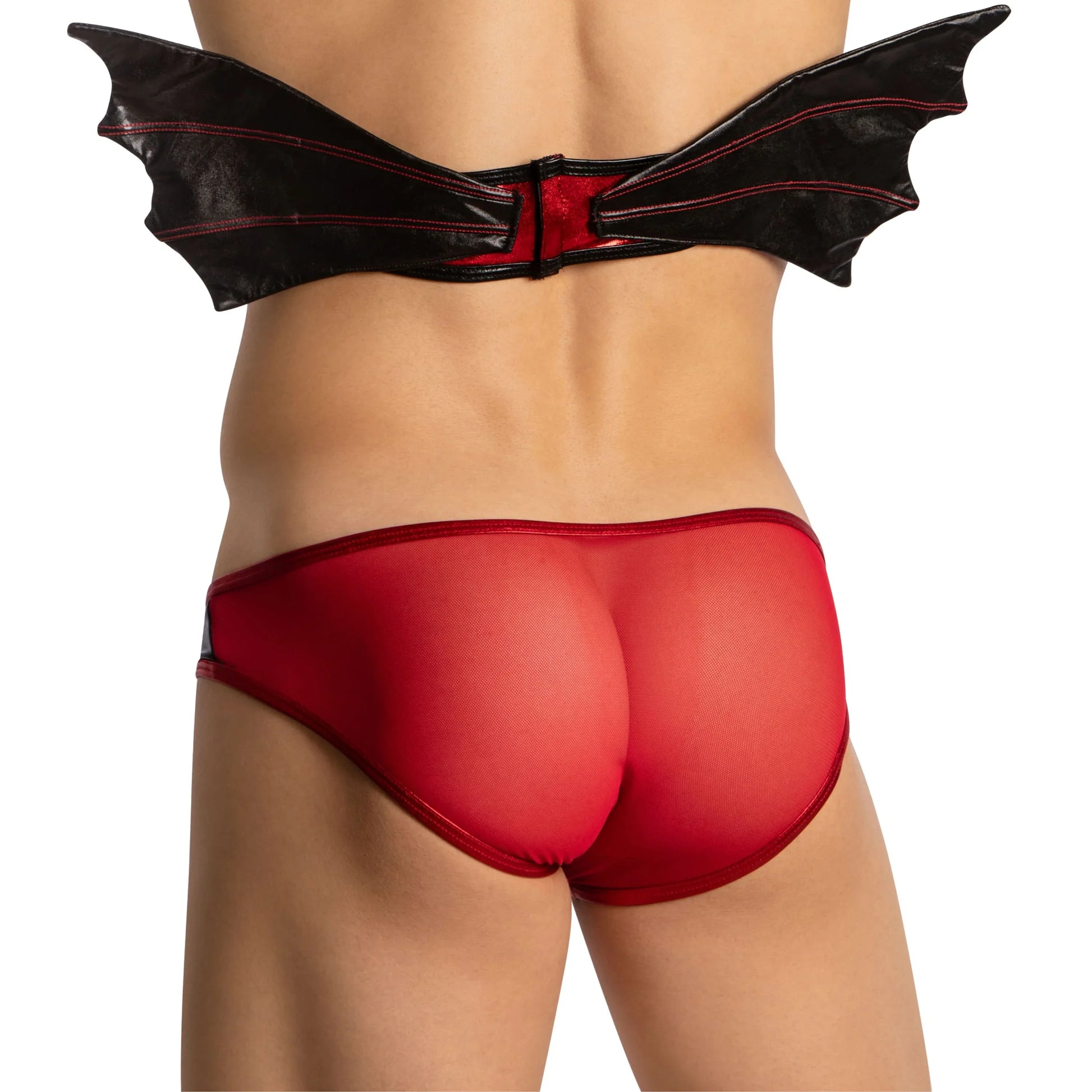 Vampire's Embrace | Sheer Mesh & Wing Set - Puppy's Aesthetics