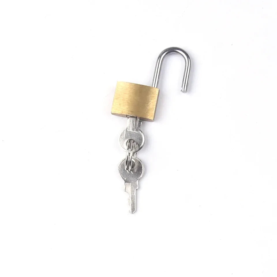 Ankle & Wrist Chain Lock Bondage Restraints - Puppy's Aesthetics