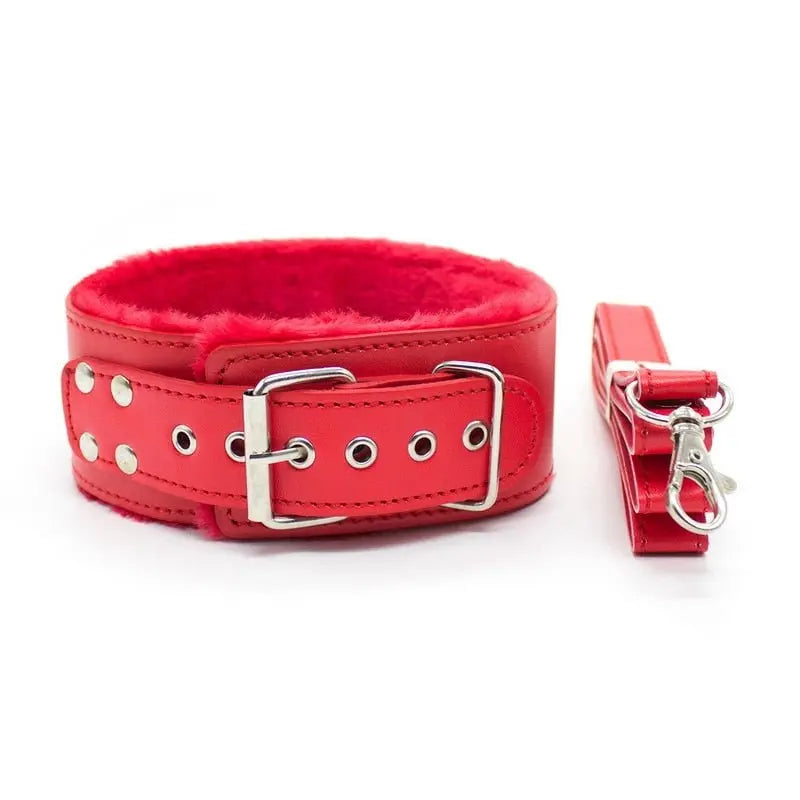 Hot Leather Plush Collar with Leather Lead (Colors) Puppy's Aesthetics