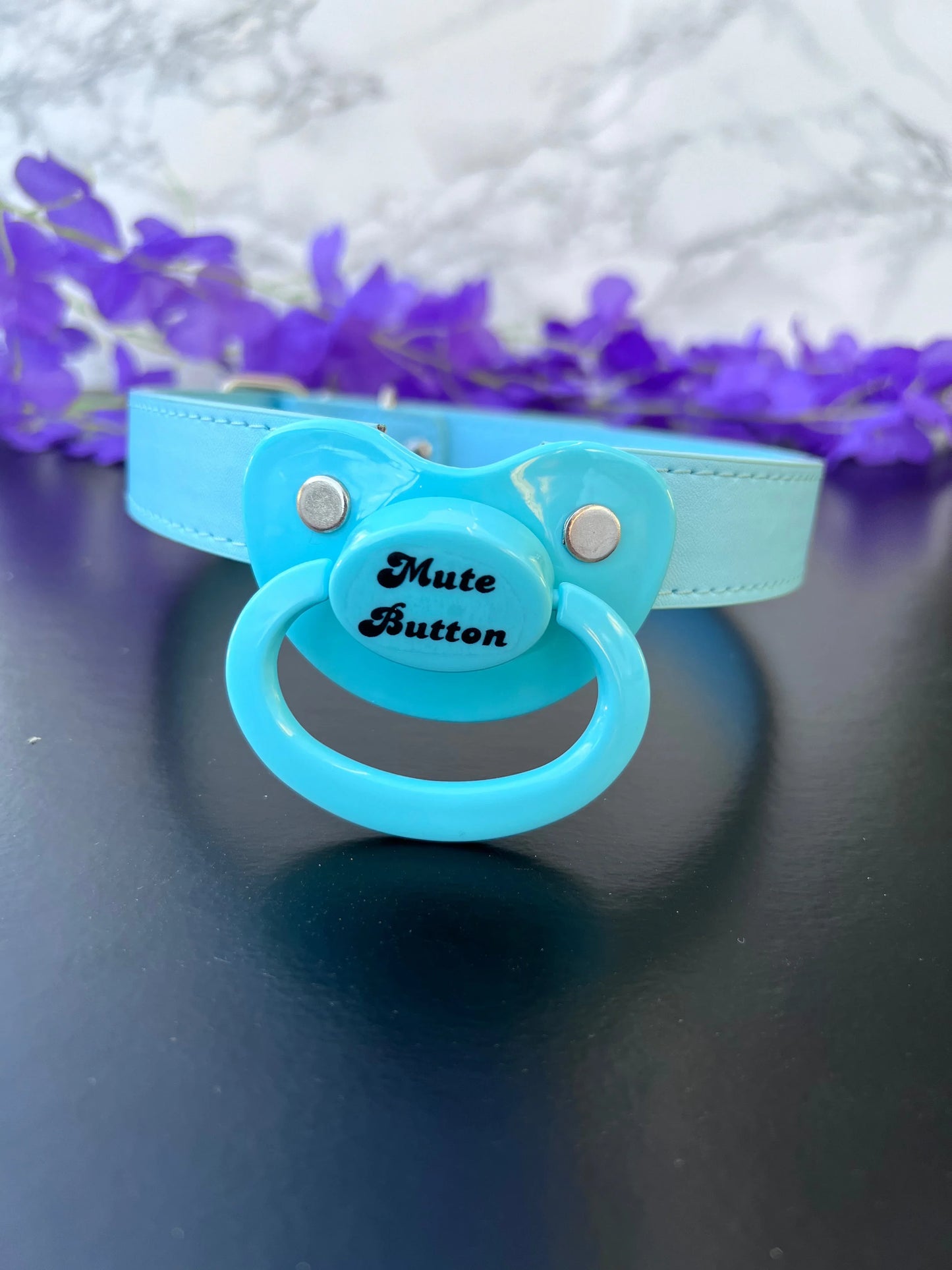 Mute Button Blue Pacifier Gag - Puppy's Aesthetics