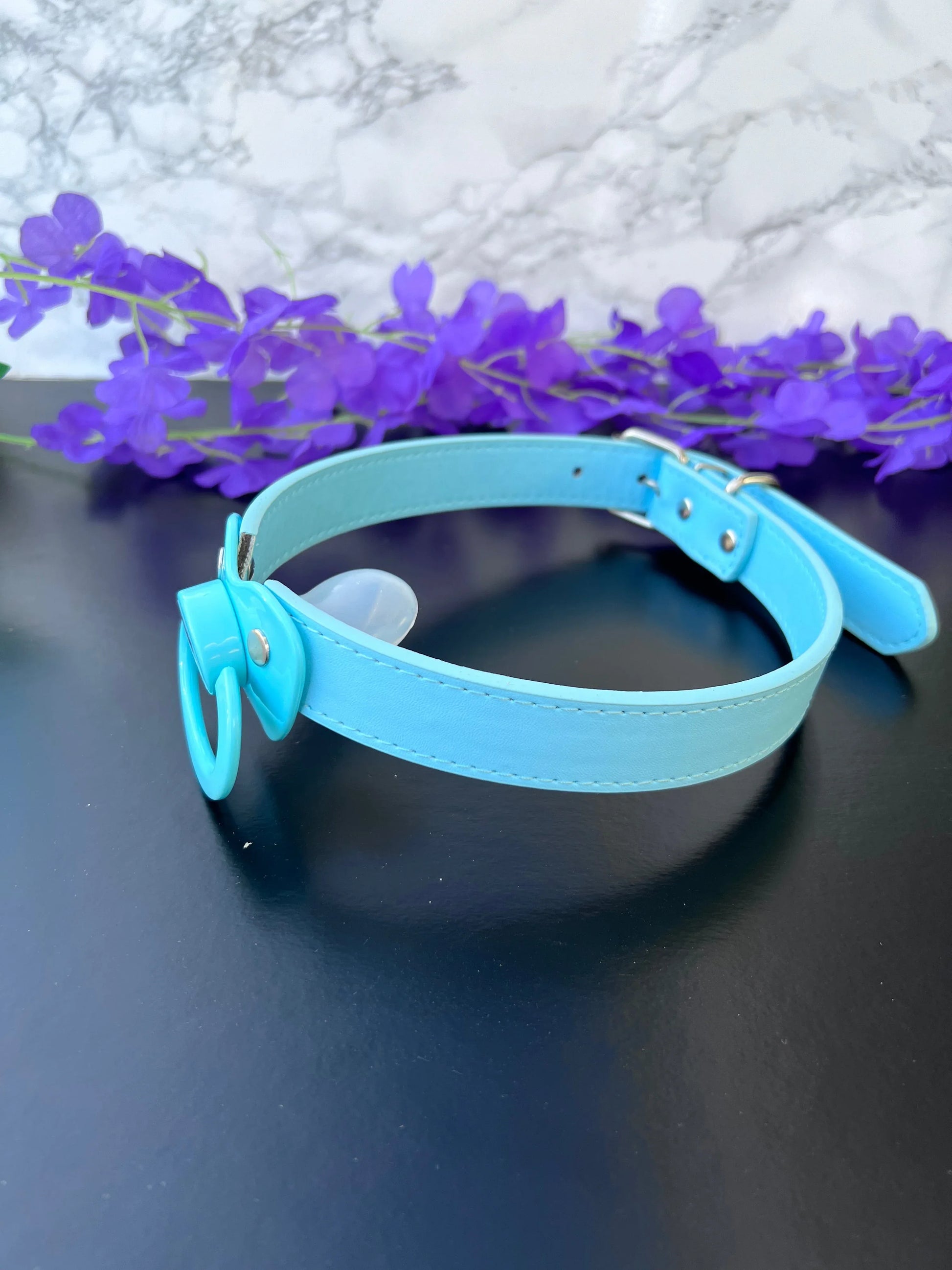 Mute Button Blue Pacifier Gag - Puppy's Aesthetics