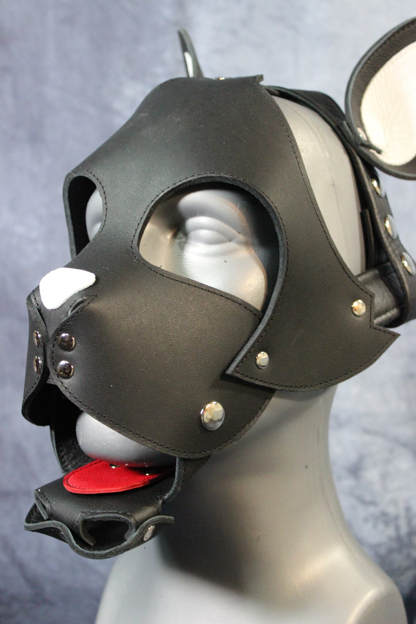Kitten Play Leather Hood