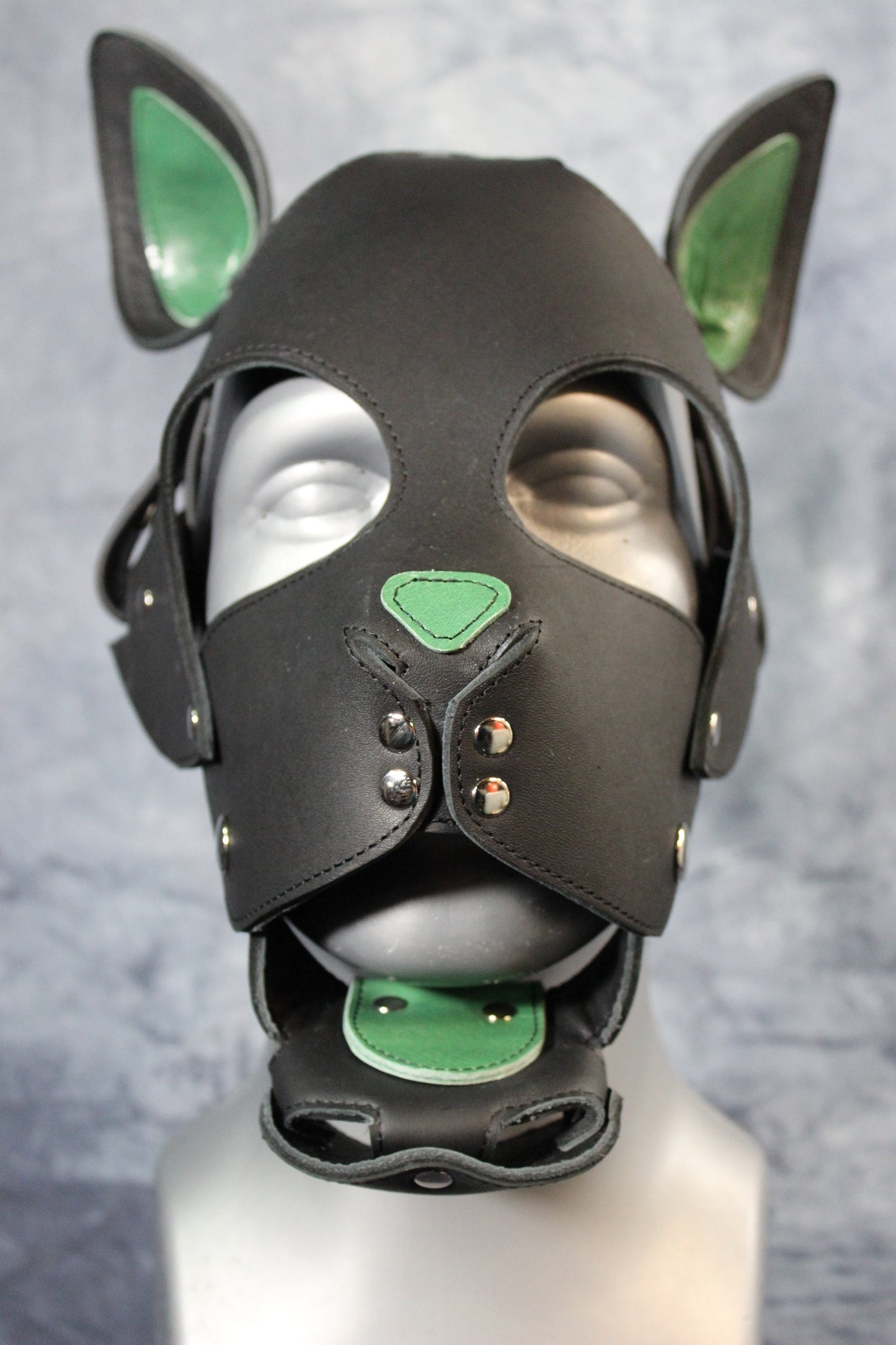 Kitten Play Leather Hood