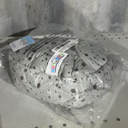 Dino Egg Friends Plush Set – 5 Baby Dinos + Carrying Egg