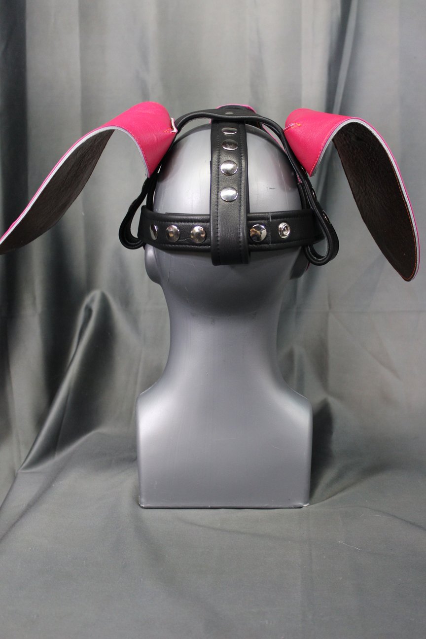 Beagle Style Pup Hood
