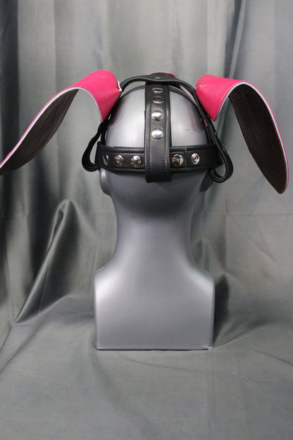 Beagle Style Pup Hood