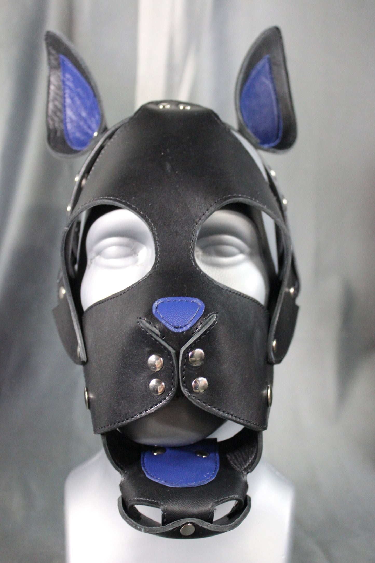 Kitten Play Leather Hood