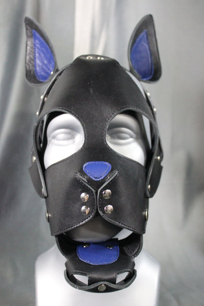 Kitten Play Leather Hood