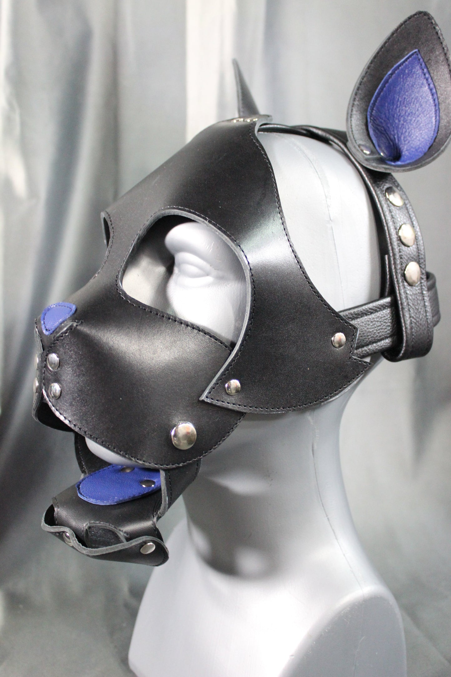 Kitten Play Leather Hood
