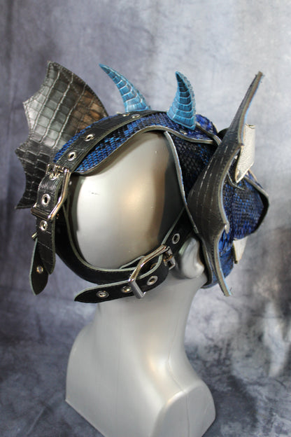 Water Dragon Play Hood