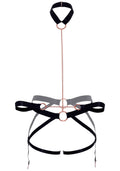 Safe Word Harness Restraint Set - Puppy's Aesthetics