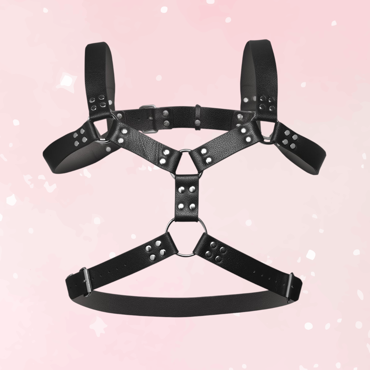 6 O-Ring Chest Harness