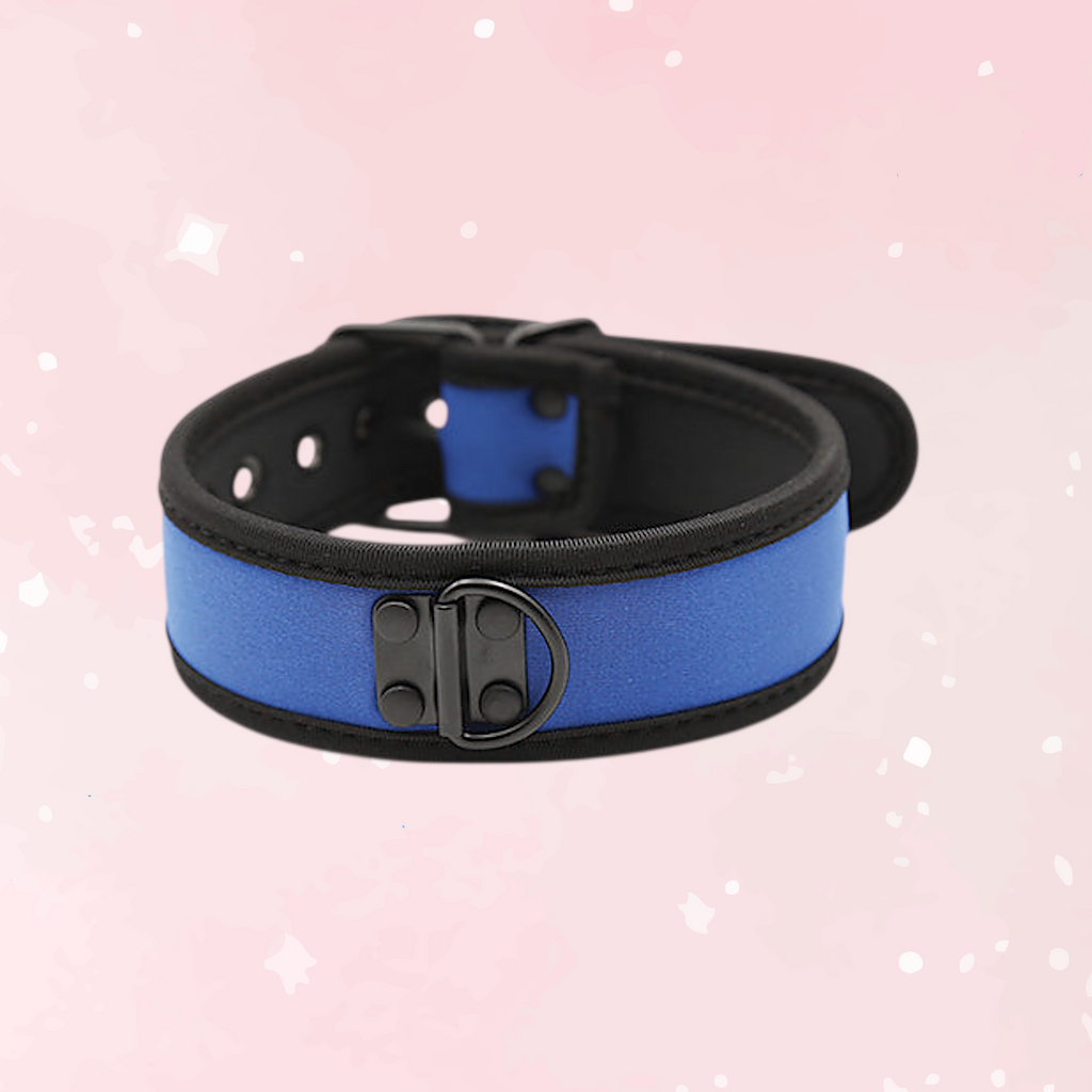 Blue Neoprene Puppy Collar - Puppy's Aesthetics