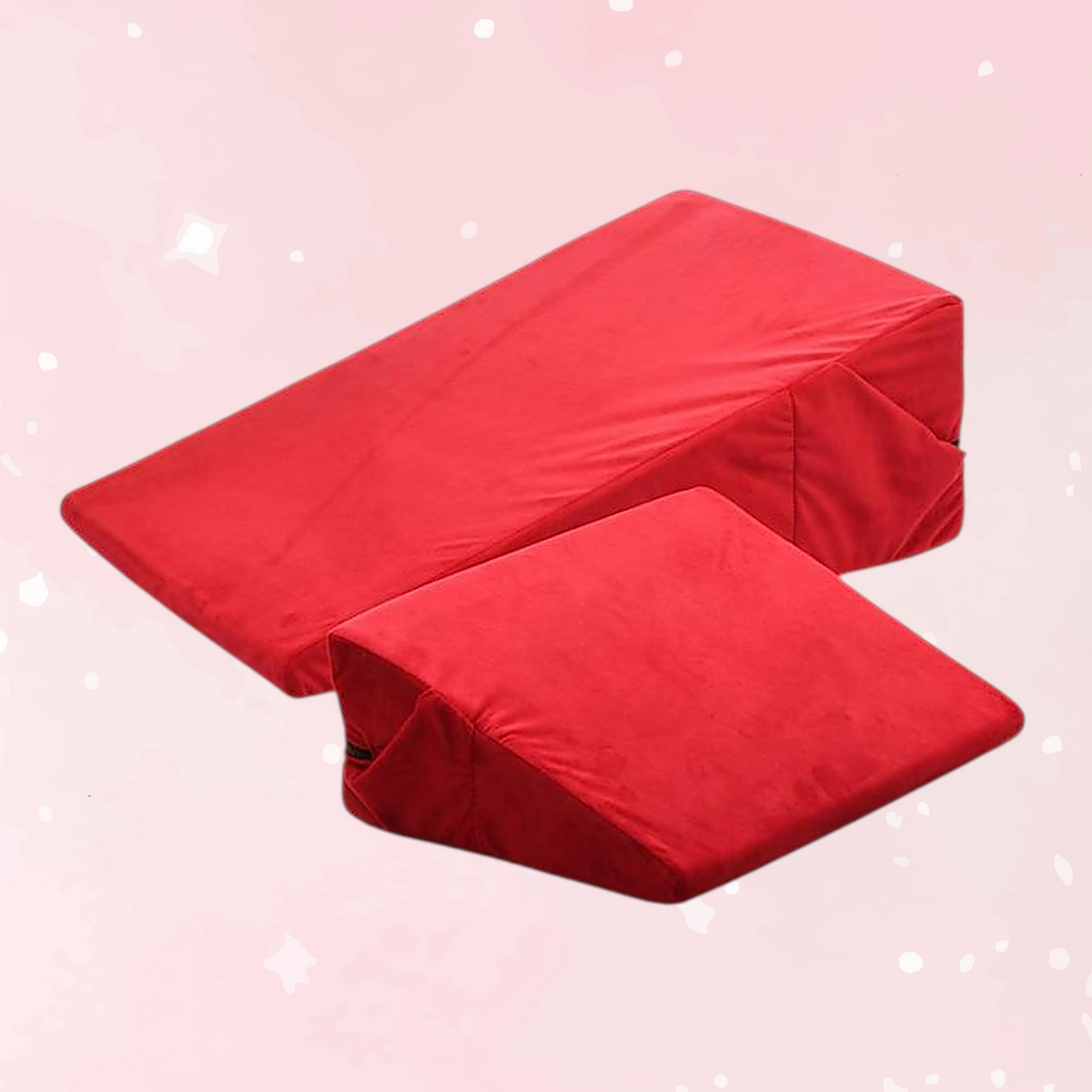 Bedroom Bliss Love Erotic Positions Cushion Set