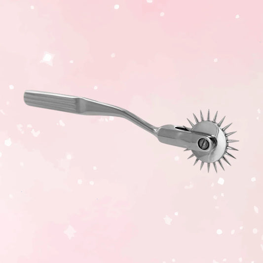 Stainless Steel Wartenberg Wheel - Puppy's Aesthetics