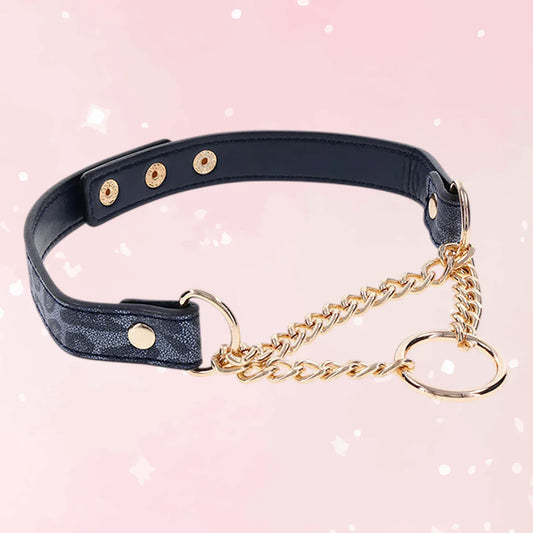 Cougar Day Collar – Fierce Elegance - Puppy's Aesthetics