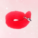 Foxy Temptation Metal Anal Plug (Colors)