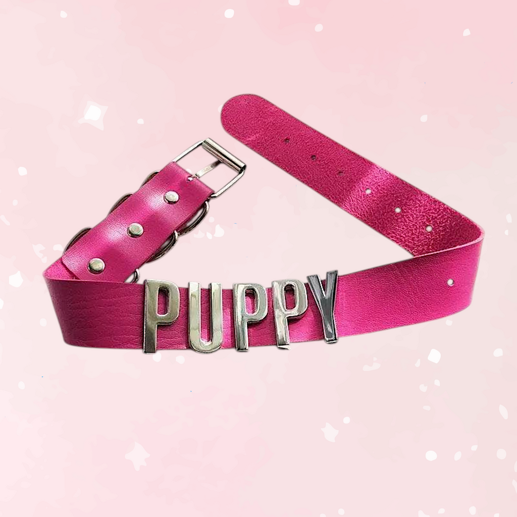 Puppy Play Collar (Colors) - Puppy's Aesthetics