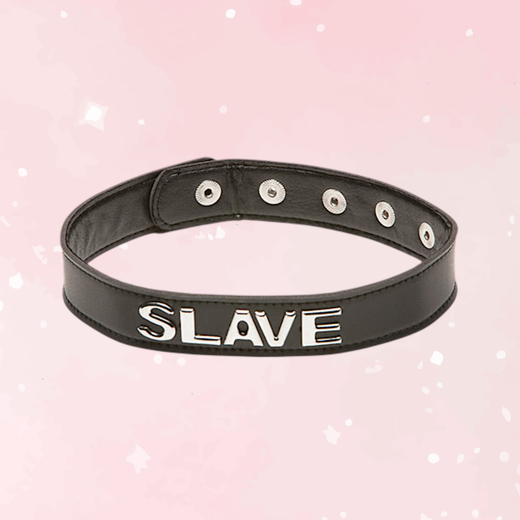 XPlay Talk Dirty Slave Collar - Puppy's Aesthetics