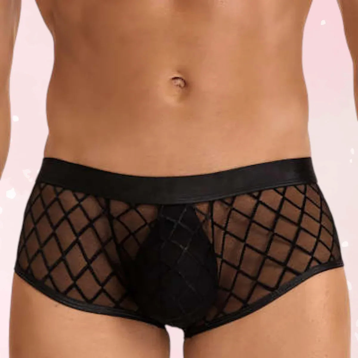 Midnight Mesh Men’s Briefs - Puppy's Aesthetics
