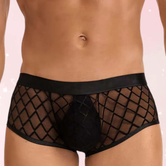 Midnight Mesh Men’s Briefs - Puppy's Aesthetics