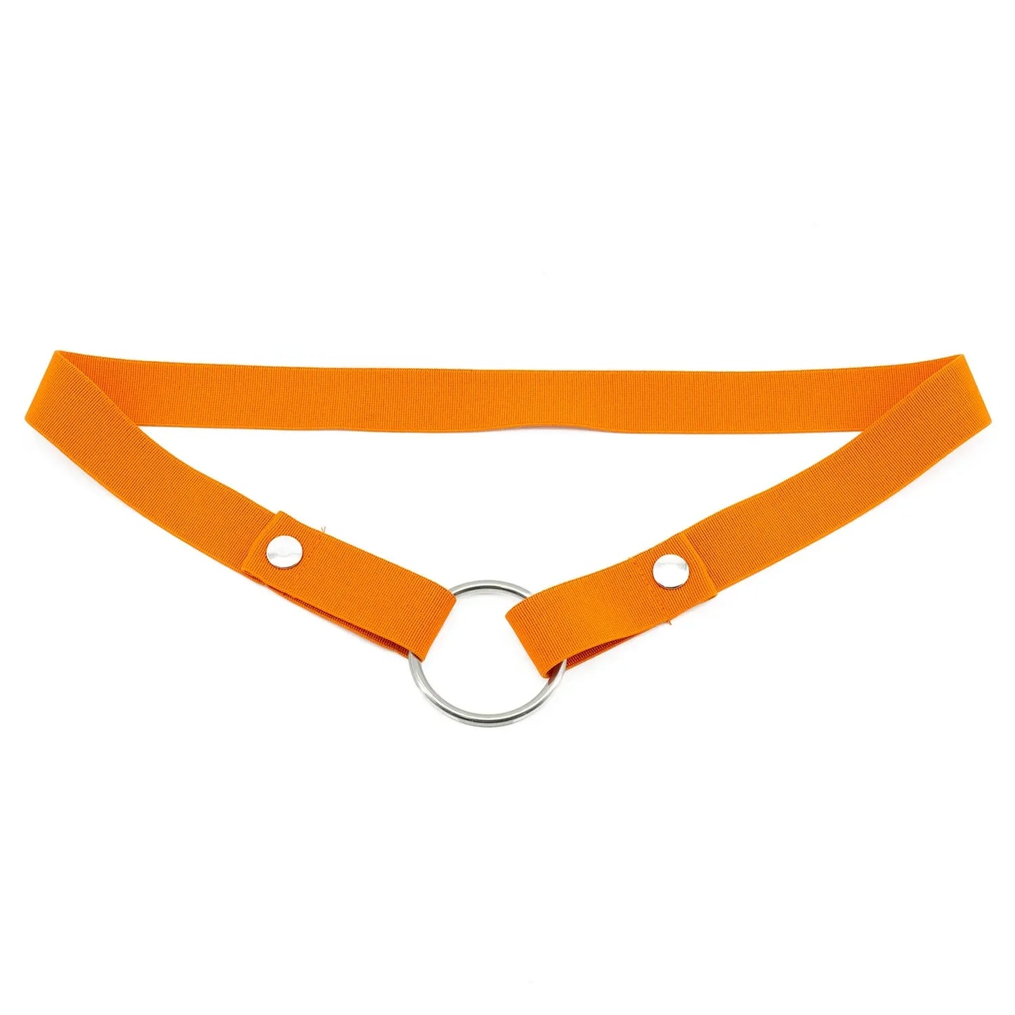 Anti-Off Chastity Belt (Belt Only) - Puppy's Aesthetics
